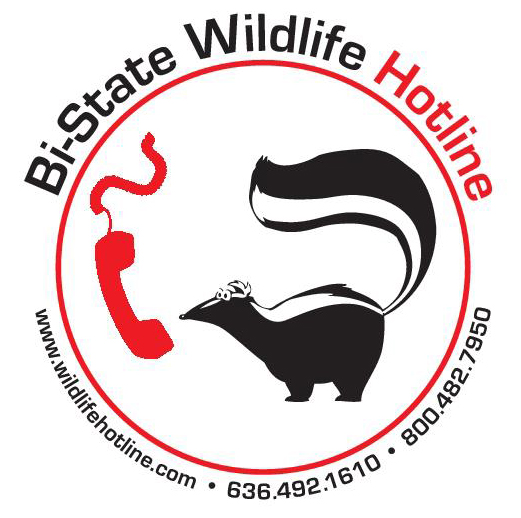 BistateWildlife