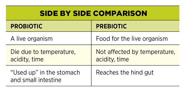 Probiotic Comparison Chart