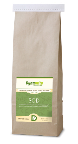 SOD_42oz_sm