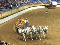 National Western Stock Show