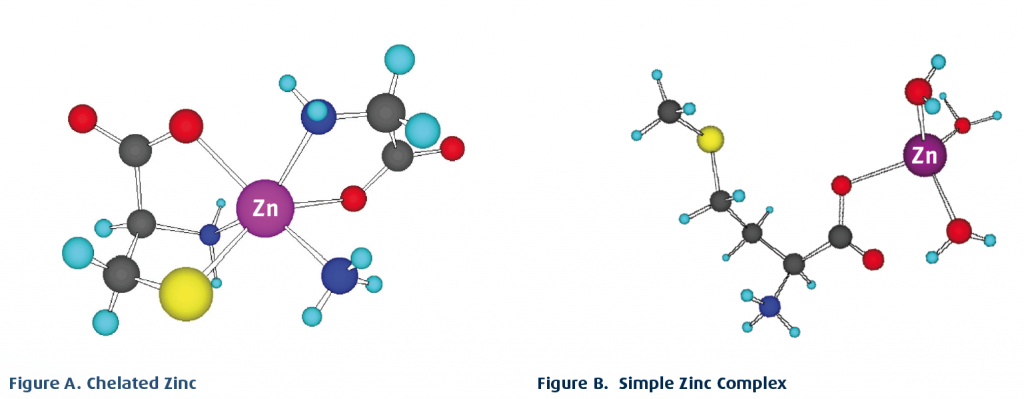 ChelatedMolecules