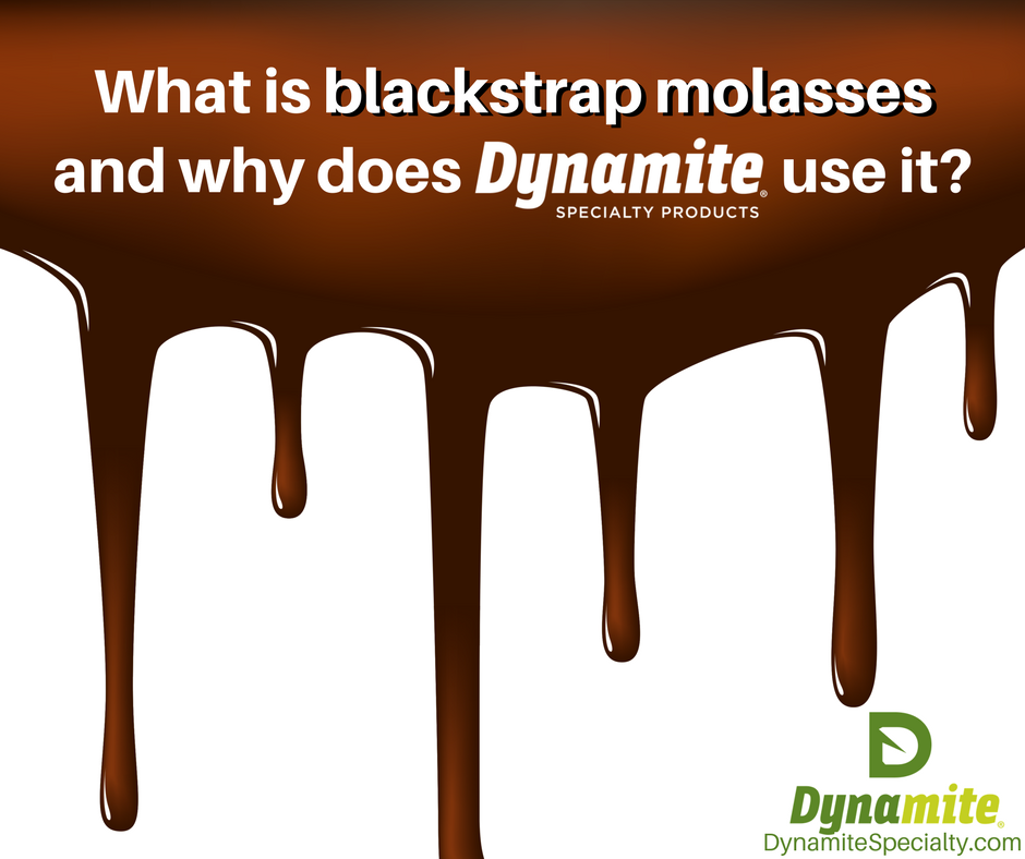 Blackstrap Molasses