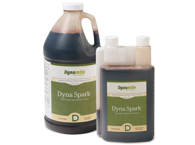 Dyna Spark Equine Electrolyte